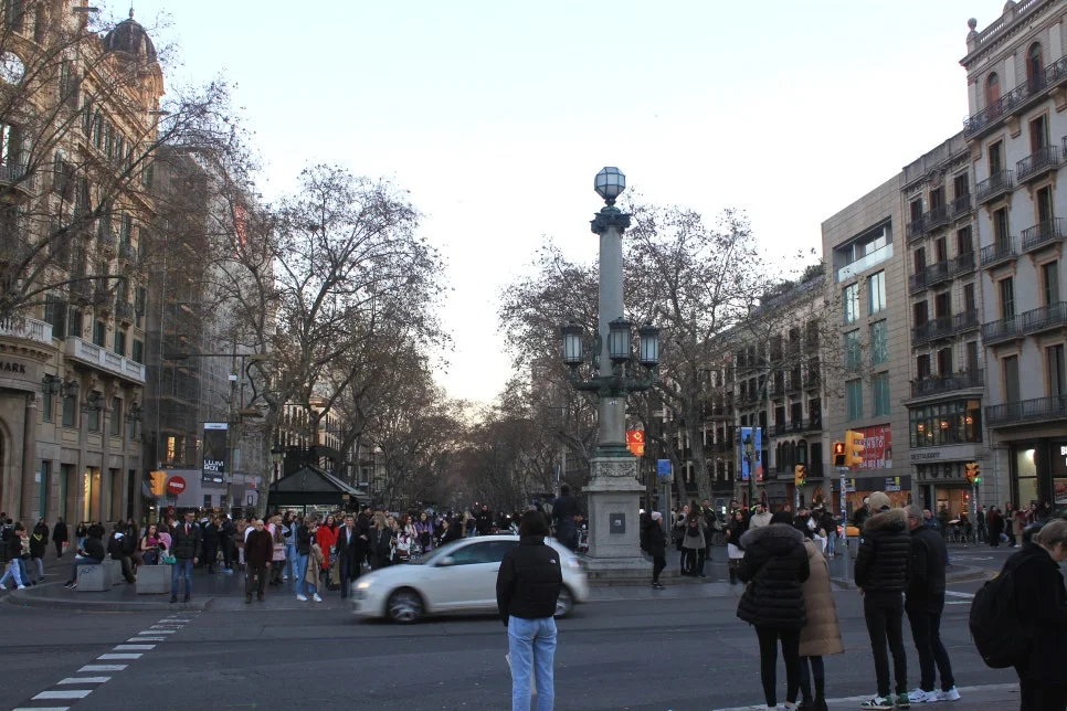 %EA%BE%B8%EB%AF%B8%EA%B8%B0IMG_6801.JPG?type=w966