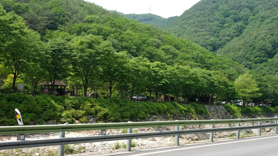 %EA%BE%B8%EB%AF%B8%EA%B8%B0%EA%BE%B8%EB%AF%B8%EA%B8%B0SAM_0073.JPG?type=w966