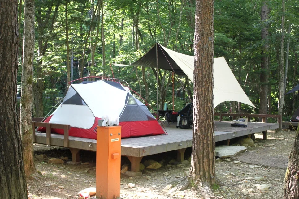 %EA%BE%B8%EB%AF%B8%EA%B8%B0%EA%BE%B8%EB%AF%B8%EA%B8%B0IMG_8622.JPG?type=w966