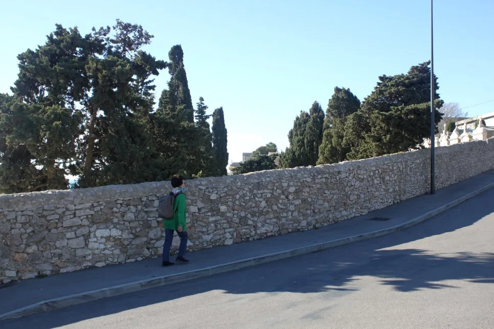 IMG_6640%EC%88%98%EC%A0%95.JPG?type=w966