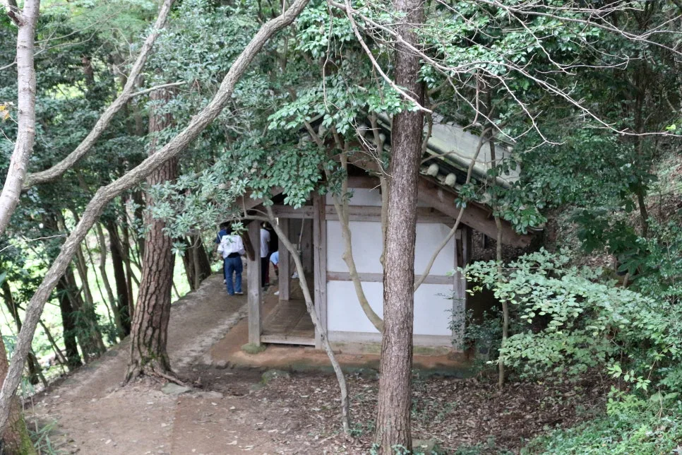 %EA%BE%B8%EB%AF%B8%EA%B8%B0IMG_6393.JPG?type=w966