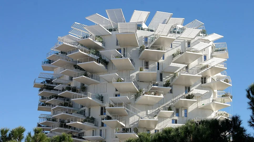 SAM_0412%EC%88%98%EC%A0%95.JPG?type=w966