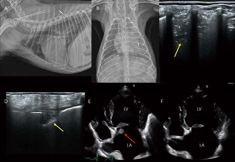 %EB%8C%80%ED%95%9C%EC%88%98%EC%9D%98%EC%82%AC%ED%9A%8C%EC%A7%80_24.png?type=w1