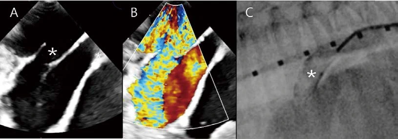 %EB%8C%80%ED%95%9C%EC%88%98%EC%9D%98%EC%82%AC%ED%9A%8C%EC%A7%80_24.png?type=w1