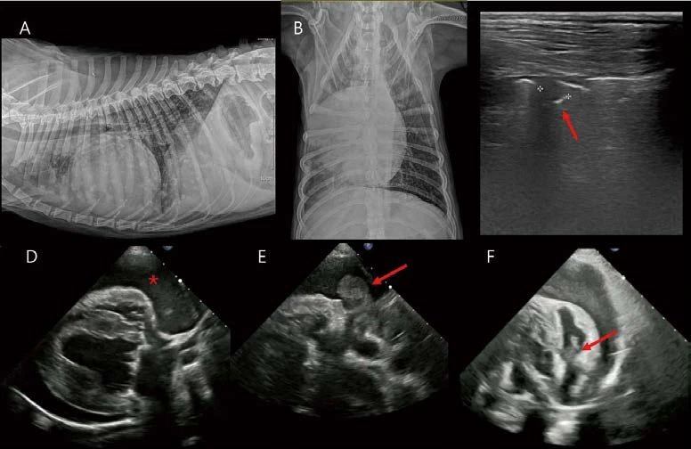 %EB%8C%80%ED%95%9C%EC%88%98%EC%9D%98%EC%82%AC%ED%9A%8C%EC%A7%80_24.png?type=w1