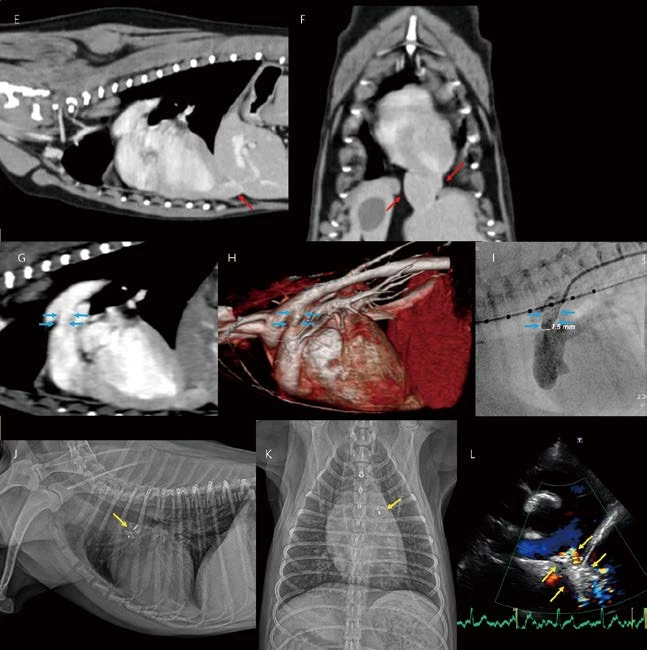%EB%8C%80%ED%95%9C%EC%88%98%EC%9D%98%EC%82%AC%ED%9A%8C%EC%A7%80_24.png?type=w1