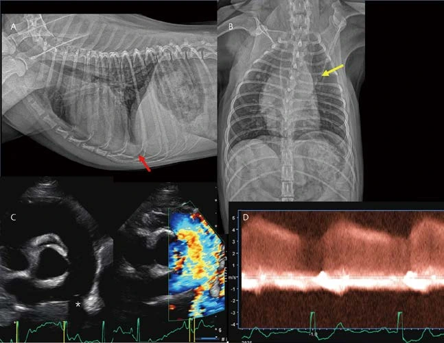%EB%8C%80%ED%95%9C%EC%88%98%EC%9D%98%EC%82%AC%ED%9A%8C%EC%A7%80_24.png?type=w1