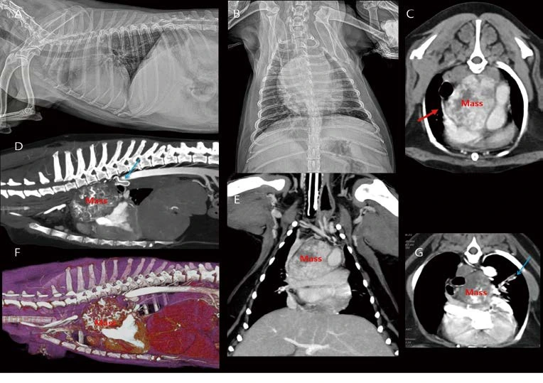 %EB%8C%80%ED%95%9C%EC%88%98%EC%9D%98%EC%82%AC%ED%9A%8C%EC%A7%80_24.png?type=w1