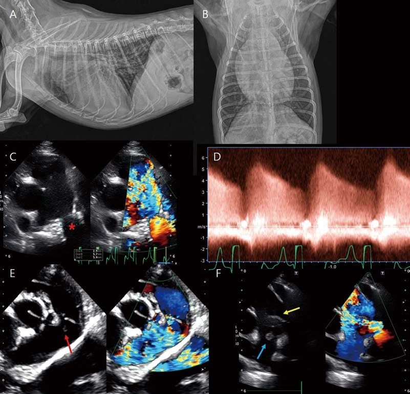 %EB%8C%80%ED%95%9C%EC%88%98%EC%9D%98%EC%82%AC%ED%9A%8C%EC%A7%80_24.png?type=w1