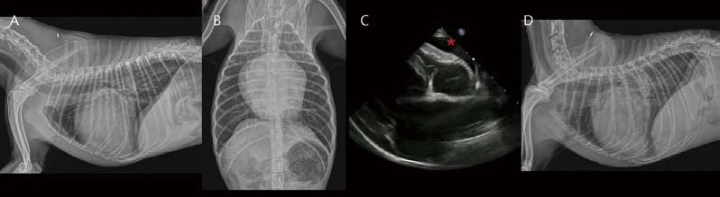 %EB%8C%80%ED%95%9C%EC%88%98%EC%9D%98%EC%82%AC%ED%9A%8C%EC%A7%80_24.png?type=w3840