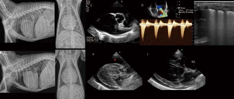 %EB%8C%80%ED%95%9C%EC%88%98%EC%9D%98%EC%82%AC%ED%9A%8C%EC%A7%80_24.png?type=w3840