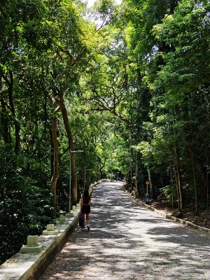 img.jpg?credential=yqXZFxpELC7KVnFOS48ylbz2pIh7yKj8&expires=1751295599&allow_ip=&allow_referer=&signature=dqi70BTLEdCiQBjMnbcffIowgy4%3D