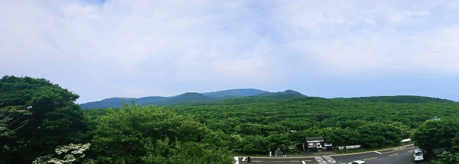 900%EF%BC%BF1749562287311.jpg?type=w1