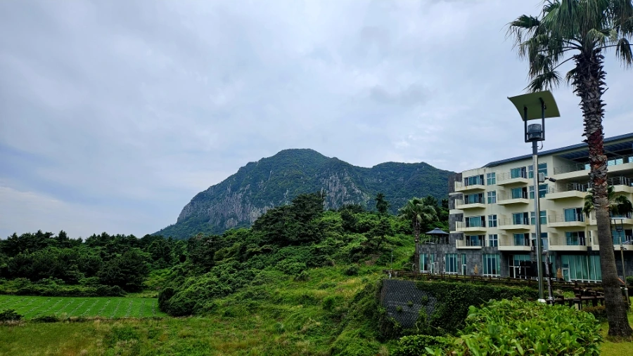 900%EF%BC%BF20250609%EF%BC%BF094512.jpg?type=w1