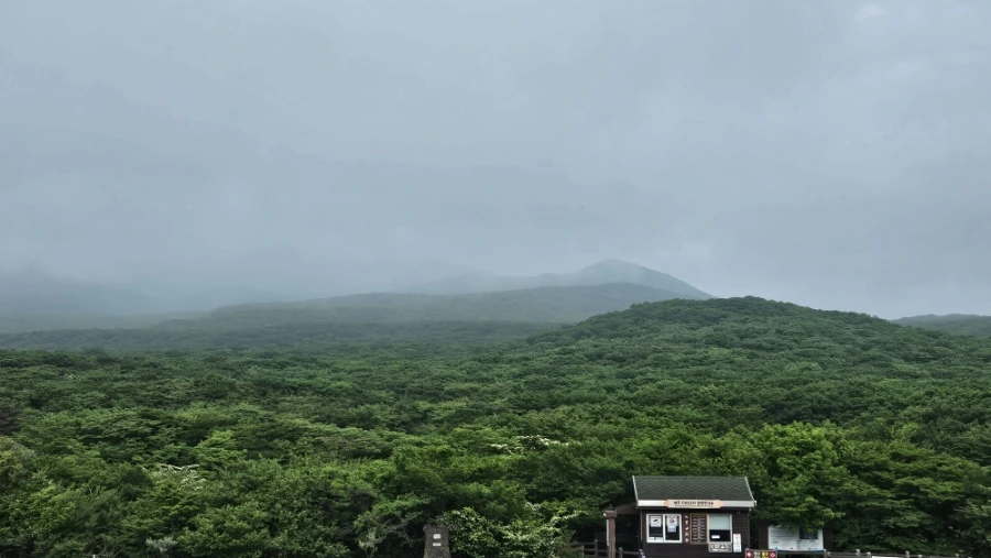 900%EF%BC%BF20250610%EF%BC%BF165310.jpg?type=w1