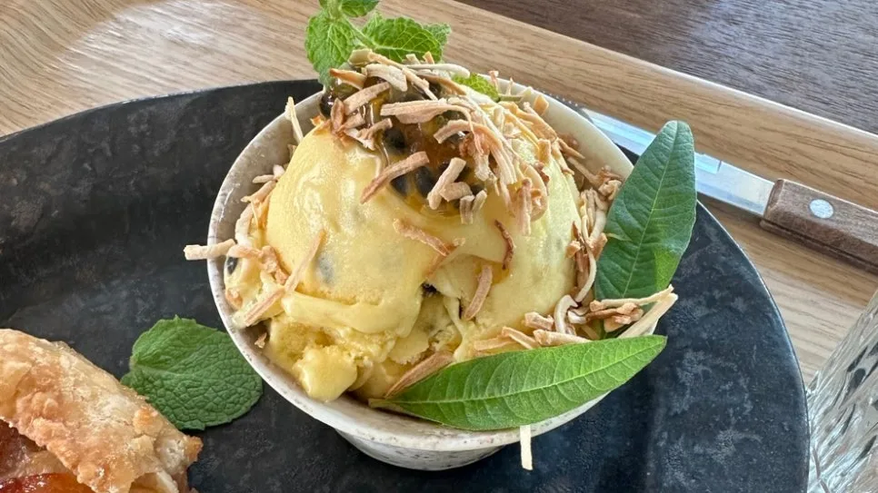 SE-6b4026fc-b359-40a4-9b92-28f77d78d173.jpg?type=w966