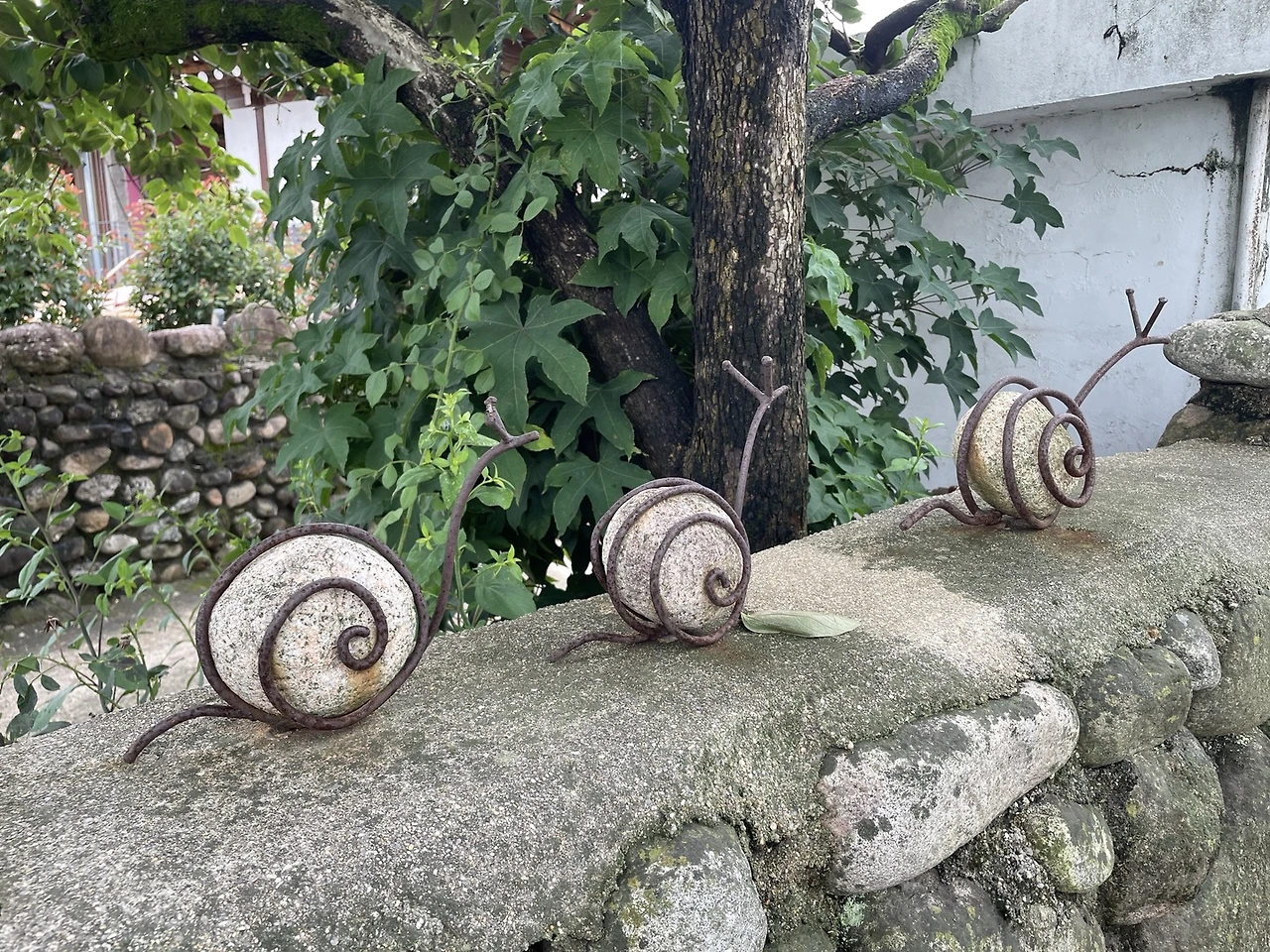 달팽이.jpeg