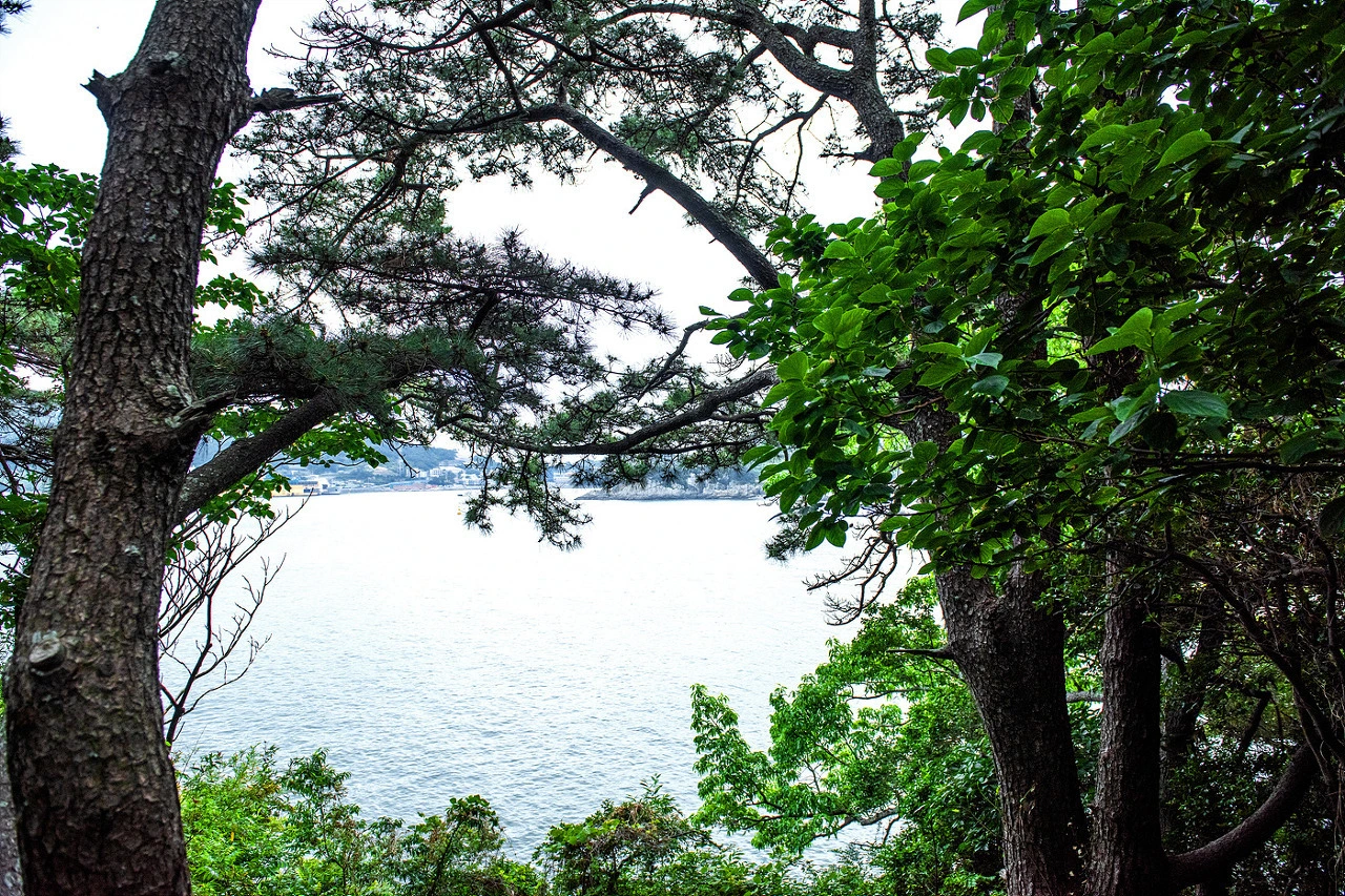 81d9d824b8ad9164d9b9ccd36bf95f73c9b6927e.jfif