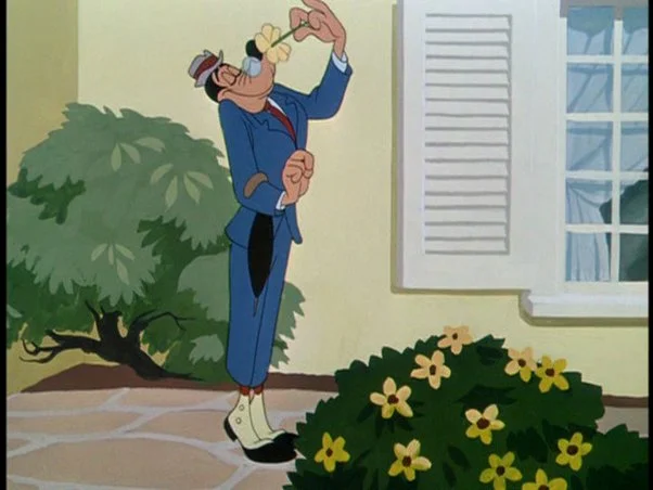 main-qimg-101e1f7cd30702d3a0ed35e23e8658d3-pjlq