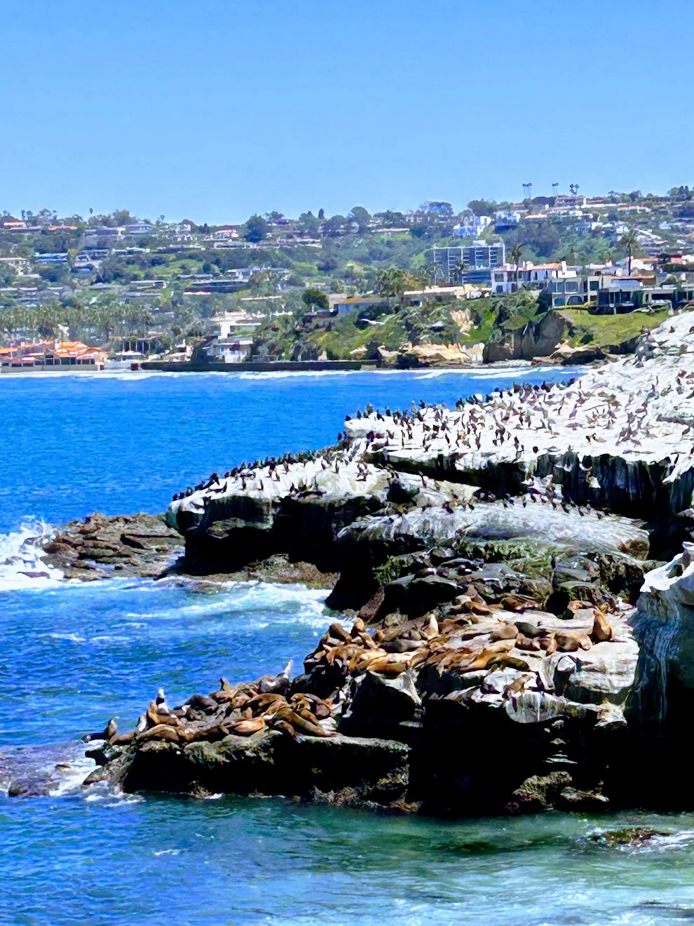 AJFCJaVbeK8zMwSmtecZr70K2elPi9_HdAIX1oIJZCL3HTzD5kZmOEPQ0vv-65F38AkM24A4cuIKEFE_eImCpvR2f1ZN_Ea3IPgFc9_BFn76Mqj2PRZm_Jh_x3ZC00ypI7msIcqzhXoZ_oNeCLQPsabgv6Mgx7BrZI-i5PvHNyw-cO-JVAWQRvLJhb6GO54aRVHZmwFfucuAzuzz-QZ5_wRbNqotYYJpkc8f6wDsJwFHDooq1DOSzTk-Uf_ZJG37tfBXb98rRNxdYH14uJZ1F3FaK9rxtFl9wHoOD4bDRbGB48DNAE_IHVYICBvbYdNTmmwOee65fwHdAl_K3d3MlgN077A0Bex9jOmpsyb8px4nJ9cOUXoUb81vtDQzRBYzGLzosSm6ADMAYiUMEM6tamck0yXKU4uh6Z2AkE6hTlQAaemHB2ZXHnJE9F1Yhy1LikAt31ZUYuYk5-o9d0re7nzp0w4G0zceQizw5WsLr5NcRFJH9-FvP2PjBA9RKTsh7dCHwayQWsbzCYE1rQHJsq_YzFL2wsvZwFrew-22WBLzrvW20GWUa8bNwvHGFjEG8CPlFYumZbOrfLnQ649gJ9QwHeo1KBKGeKLyYKL1I2_pbX_TJGYDlluIe85Vjqbq6XlnehAUltKpA5rssWdBarhqQppOjQu-EuNht2hENZmlaYMwlxpr_3s5b9ieS4B-NrXyjQDW3xAHw5gaB7KPFSKtTLOY0zsul441Kb2GEOdo5finDNPbv0gIYIIPQwdhYC2mxDeDccLFU6A5Ia5aHVX96VqZ042LlUyZr6EtoQBf99Yee6lGGEIFQ9Pyz-7nUulo_mU-LGbfGeRouF9XP0snsGQvGHCg8spX7foXxUXiGiekgIKN7zjT2BpsTUSaNREs_SerktFXQXPx7kqbW4TGzMHLHPA=w990-h1320-s-no?authuser=0