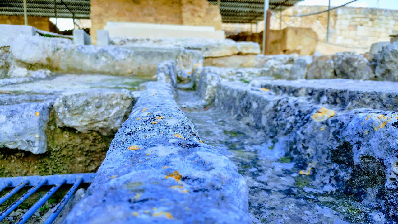 E3M08nei7KWOOnd8SRtrXG4hJnuKiI-EVLZQfIm1ecH7o8MIxIM8z77-PabRGJ7ItCT-33D1GeIHhpyx-jqSdF2Ufaj_tpSS4NHSqDA5QeggUb0B3yI24cju3F6e4zs0NUS_Uhxebcn9jNkxlf5T_H5Z-VgQnD-OXtUqnLceok8o_Jf6Y-tqY8N4eNTkDloc-UyiKk2dgIMdaTrJqw4oi_Ank7xW31uvidDCCoAPCPChmmCRuf3LAbWbv6hPVaOusKX1FwWYtMSrbxSEXBHX-WYTxNdBKfAQgCGrNdWli43dVu5v6P7ZstKdEb3D1laxhesyZ92TDIzY3rYB-ZlGijmWh_N4ydJChaaG_FXdDRtpN7-zR6DoDIjaEdcUoXtNtXd-8tde_X1_kgHBf8W1GkOKeTk4RrTXYB_KklI0GQdK4bxTQd_BzZoJrShxBf8XchyfNkz5BHotJwa2l2zat97TlWfob-XAPrSfeB8QfoZ6pYSD1A9yJvVXd39cpYLtZgkaFi8QkhJBtuPsWFo76VHyuhiqqs4OthjOV14v34lSbSRlwdvHG-U9ZExmX2QuMWVbNprlSoaoaSPnIWPWKGsULc95A8sLOXJzHCVWp-kbjsq3uA=w1704-h959-no