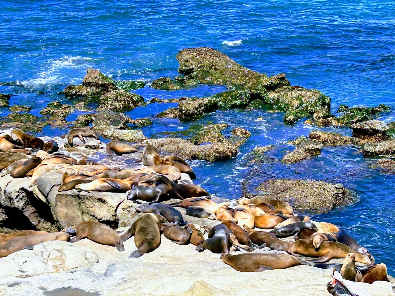 AJFCJaXa3iz4yVOAen3rWWY3me5__yYKNDuJBb4c9c9wRX8cSdzzE5A2dCSxKw9rV-q63OgtJXfNQ7Kre9aXoIrrvehVzeTi7_A6y442dBhAAm1QayU8XFDfnIWJw6Y_qJLxzMwRmgH2GYm58a6h0hwsir5EXeHRQ6ot5bscwAuPABh33z9XR9_Vz-oEUaO6NaB-xQS6VLhNIKzXBHVAR1Fg9pfHlYTIs7kMt8yfNS8r8R_NxQUm0W3U8bymHVk6J9eHaP3MCibhnT_t6EO37UftCNIjq37Snc1f9G_IAdOg0kioEU0tIHj9jffOhMPszfmZOu3VGZ-_k9HOW2-BwrtINxi_DtotqcGiIlBrAtnrDXhCjcU-RWQnQ1jQUodXUFJF0hEN4gzxy0lImCc2yFa6rVlaPT2dmdod9sM3x3aIbk-mDl47bpJ7P2HGFwmC5_7rxKMJWu-JMfaNKn-3E2OQyZWpbOJw_KvGvsqU1ko-HymKzIkHdqRLJsAQpIY9O9JkquVUY0IkM0tbnRTmMlvtHaK4rIxBNddFDKxNE7VADhs07ynG8C2bz1SqUkSBJEhYoWUflxT-F_RdmAKMNDm9EKTU_l_En__7K8bEQh2N-9BVck2-AODMB_omSwKXjNe-cZr0E2B59eT5w5V0PLiy0psaKTPIGKfr-ADPPliAYYjfNUiWcEUXnHWyx6SBLvHEKEJQagQX6dMrA2MK74rCjTBOE6NhyzqHftwnPoWe7GqE8HkyLY7OE9F58ZU0oFw6a-a6h_Ca8tE7VxcEB3PT_p_CJcInKdnlznoBxZvZ-XwusBwP9HJZzC_NTjgxBsukTPHTCGr5dx1ej4N6yB_R2uhhJ3BnGucR3PyD-xv-y8BW8xfMW6p51QEta8ejY13WJvq_KoBDFKr_H9Uadk33HJF8rh8=w1673-h1255-s-no?authuser=0