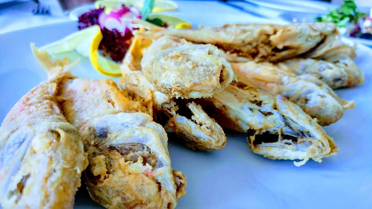 6q8SfWsgpSIaal__9r4BkA-tk_Q8pgGizUffWcF5TlzAExd1rRDMw4UwSDPZrKLerlfwIejl-DYM1VfrbAglDGIVXXf4S5WG0dnwT5bNpxMng7VhHM9dUxJlx-EOKLGTmforouoFj596sNk5W8BkUORg4ZhNjYD7nrhnT2VkyAYLv2IXVFYDcnt3lqTsBgQ_V0cNxplN72sFPoTvxD-jp4huyJJJTMPf9IV2cxsUnurcBmdyk4mkkXE1NxUeIpzb320aME1HHcscQxF2j-8SfUXjUCi9dmipkiE0Y-vE-ke68oUZl8ZZDMfCzeWL7yF3a99_IB1AS-TV6628bWb-LN3qKFwjZ5a_qQwWpCZ2soAxX_e5TRQ2gAu52m_0JiZL_Q_TEN1FZY_CyvPZgr-ZEnT6QJ0532QOsRUepeJBnGeYTaQ0PIxo7ttBb0bgL-CvLjaqofeWa1y_V7k9NF_FDFv0_Za8nywTX9cwdCbTtLUn6G3QPxaZPI9GKeVf2WuwXBqs0Tax267zNZq5ChUFyExBFp11Bckz_cCTsTzDwjvd_gVV14A3dOPAT23Ln6uY66xyqCyxqVI93Kx5I2ZzX_lx5nNgIr3LyFc3ZaDOfZyc-uRTdA=w1704-h959-no