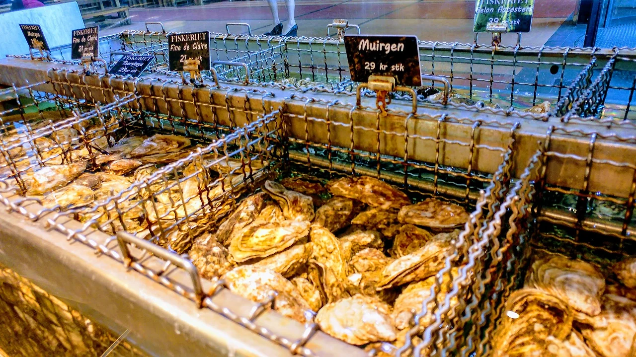 oJHHVq3etLIL98FE0kf7m7t_0FexGEHB-oo3YxjgTr8IIOJZm488C47X18mkGMy0nk1Hup1j7H3C8nRtfx852BDtX4gLfdRwqKcWrWCrRLni2TEZl-VmaFnRLUM3MCH6LS96v-5qDvjittyQR53bGwHiONy56LsktqpSkAXc4NRcHQBDpcxVDuQXcPQWEpKlvsn9_qbZSRpsdPShIfQv4ZTUmLnUaAbE_kGB4XHd12EGmO0bgm4tU-xTjgOUH51JN08Yt58WzF7S0_5X-Cq_BQ06f6UjBYsVJRcw_-COxqYJZbY3uP7oxdrZXj_aAilaaa22cz0B9NQpOGKxEArzjzzQOYeD51bf1VmjYJ7-F9qKejkqGYv6dnEyz1JOEkdZqXUboeaCHnbwjtFQUAv4z45VW2L_EXnb0C1zmGS9gYk8E1n2dSsejEEq-nvoZRneu6O1PjvZCvyOB_LM9gzZZuxfr8VSZlQFRBQkjAxAW4fxlSTkBuHGKuMYy8SAME3T-0EMVKQO5orRZj10pbklzN4T9p-ZAHo0KunnLH41SE39H3f240wGO32WDLF2h10i8ZWxRpeyVTH8ReUMdH-rIXVr5d0xHhGRtuEvtOnMM3tuMzqdu4lrcA=w1704-h959-no