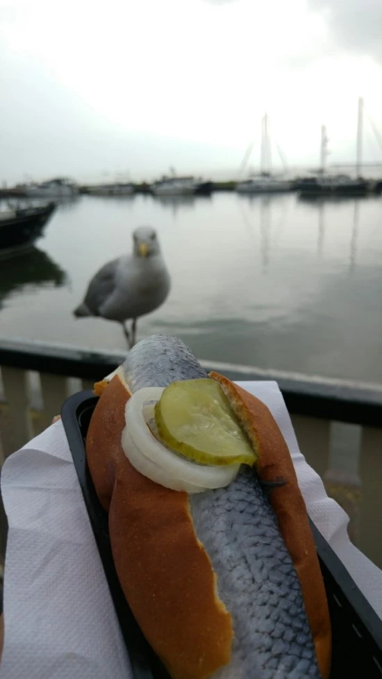 20150815_121233.jpg?type=w3