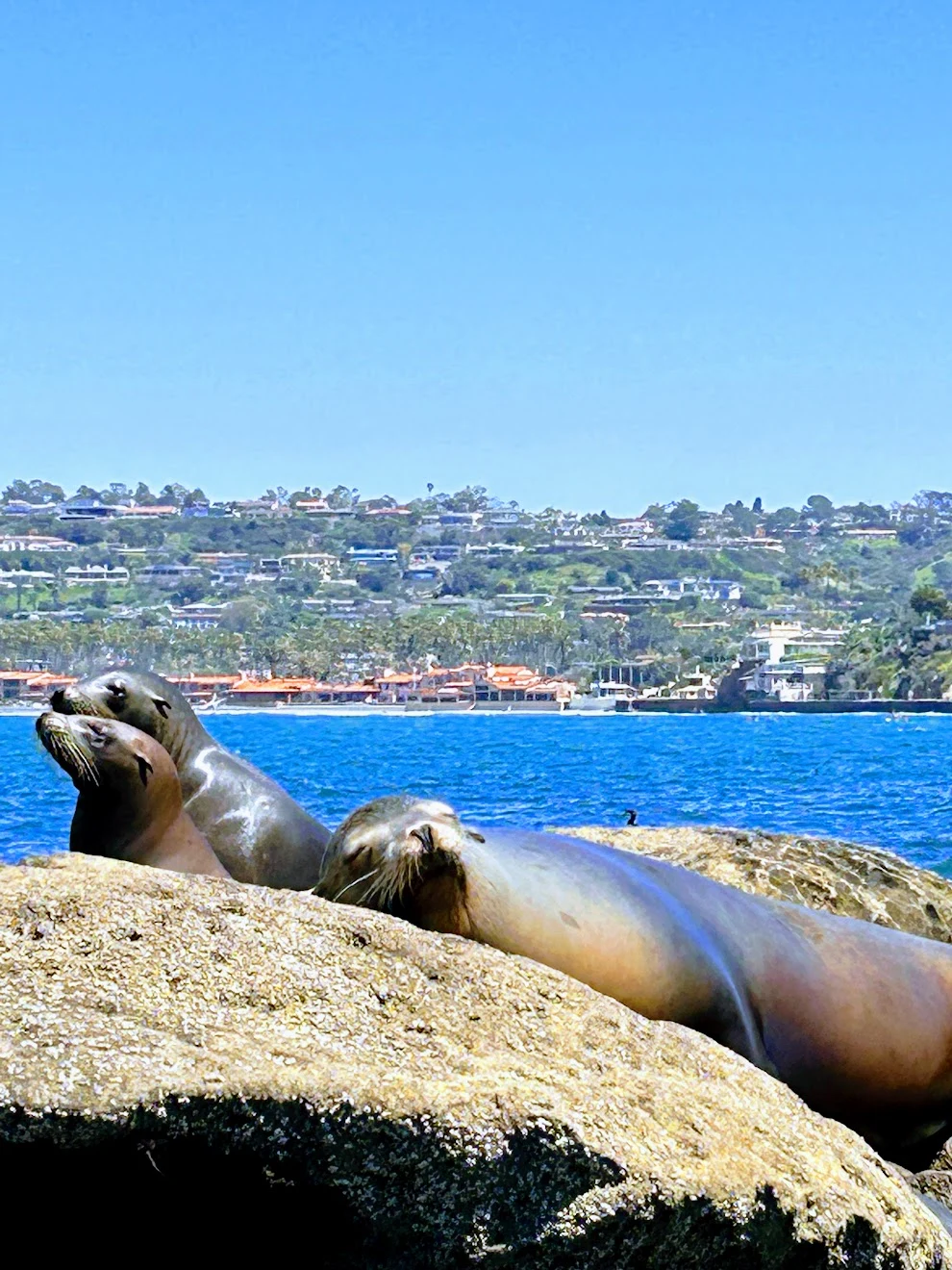 AJFCJaUcNgqf24rl-WjB6ZfzdY7Ml9z-vkn5_smUtUYGnBhUTaMvkwlD1fKh5t-1pLKTG95v_Bw7ovj63SvvMLk4rS8oUKSBxMOUmxNHmWerGansk1AFi5fpvzAV1pA9RJH5VUp2iMEnjeUYSNEzpY97amuJ7cIY0aq26Ji1xfc-Ydf9KemFYV-CEd-faAZXpv8pbhw-Xfl9wf-grXEnB28_WRxNgbZlrCv7sHzcENPCTectJVhcYTChgmbv9m2Xl9iP9xQiOmAEozJAuT5s5FSKtFZhGx5uY8UGKVVPewzuCu-dPDNjJtXKPV8jpGGGwqxW6PRWf7xRyv4EgdMrOmHfQ98kQMD3pyfFeCKaFjP9nKt9dVNT31Kaw5NWIzG2tn9uw7_7i_ciabQy0Ia9FpB34LA7OFPzcCGNG7Z-7FBiF3wIB9SXbTtcBlpgC7WwFveoTxH4cOwRqqL5BJVxKyhoIVUCQcGHbph9jqAARrhtmlXFn2lI4y-aPubRmS-lr5-Zjdxkk2Of2g_gQdtR6g2ZoEZMs5Ht4Piff3QE7-EB6LHOURcN-dpZ47OGj_ns5nJM1obqW5vbUxV5RycJYqAksk8y5Go2kEu1nJZzKy2q2RK4sBQ6_piYhf_YKn_kBjdboPNvKBSz8IU20taTJZXm2N3JQsbudRDL6XClVaZBSXWPI5nAe7HtkH67TO0WiEOuWXWr4tox1HnsWcVoyy_McFgmvFLehA2QtTFWv9Xz4GsXPDbb3lJsK_SErFLnCHgWKKVnsXLbHYzCtIWKUAvzEDlVhxBe_Vj0nz-MqLoDbFrpNnFekOAog1UfGdRJF68Ivk4Qg7euGcUF9LfXP3a2kr8h7WWAYdyHOlBIZtjr6oVMmpu46F42FAoyeZGllQ-J3fVgFiE7agoEg_ZDVtoLSR3ouwM=w990-h1320-s-no?authuser=0