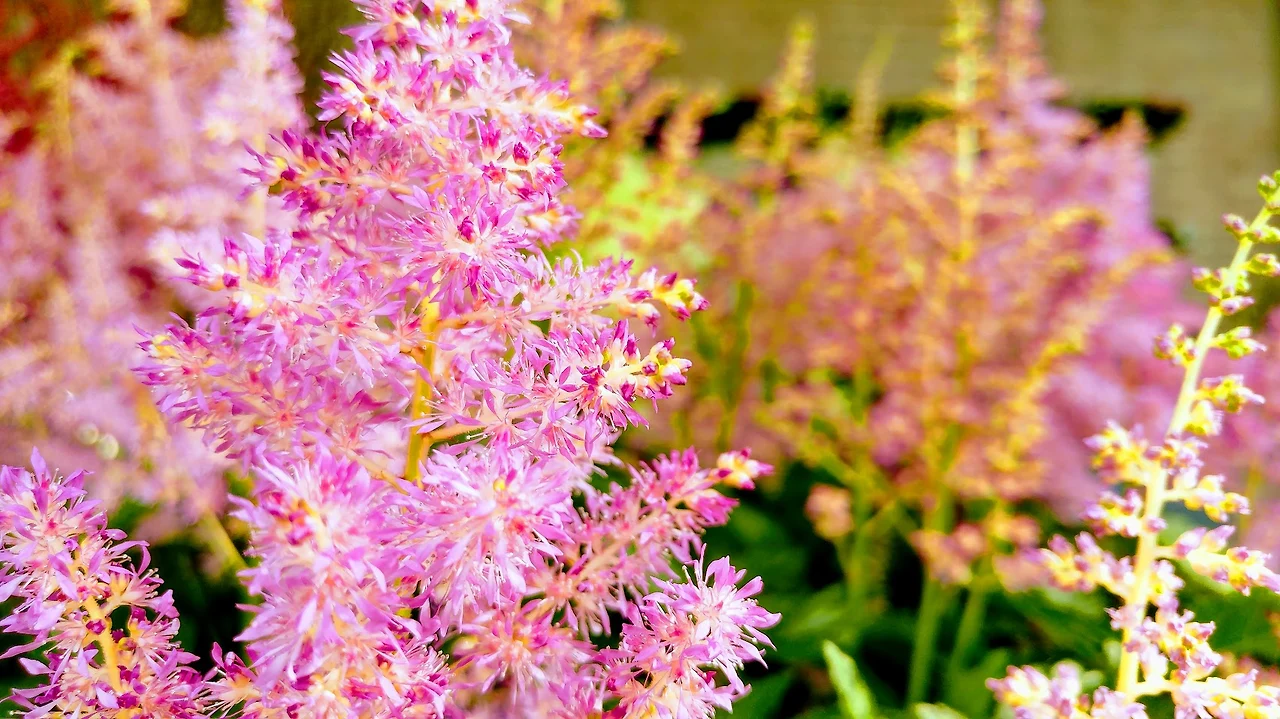 XwVJn1LfjKSMSLAdt0R3qMZ3qTGsHSLzV0boSgBQUsCr2HHkK76boCdiwh_jo-jacu5y4TsJyvMOt5XTMTiy-WuE0rGpXCfF93TktQUXXkxCvLm1easI67ef-BOupSHHeXnfJKrg-urQaukse8cJDfj__k1gyK-iuJYnhcMUQXTrCfgfyQkmbioOm8Opa0a8zxPsxghL6MmEvJXVLGonxlKpQx3b7htqhHjeQJTznGB7WYwIxWrkNurqxlVam8yOEVS4TgNp2l3iWvJPLvC38FFuXKjBrDQXIzbgYOq8MxFyOVt820jSYOBcUyfVWKgjgg5X9eceDNFA2oD72qvnr7x7J4cZpagAEzx_qqHb_zTo51MFitML0WBJUI-C6oeKKQRnUyil0C8C_1BLlQQQ6VzFY_-7dv7SmX9k-6aqqbmi-v4CLOwdncIkZHyE1JhlFk7JrdPfzLs4RJYGvBFdD6hOp9by7yUCOHnoxdIm5M9OOAToHiDmSIModY5Ecwsvf-FdNJDeAFEPTzFfpQTtPxSBYz-dPqPG55hrYlaCzOI623j7e3FHJheU9t7hqKj_VWRAV2O5QxQfhsCQlJnPDlPgNKMPWr-18lBXpIQJlbh8Zb8BosEjuQ=w1704-h959-no