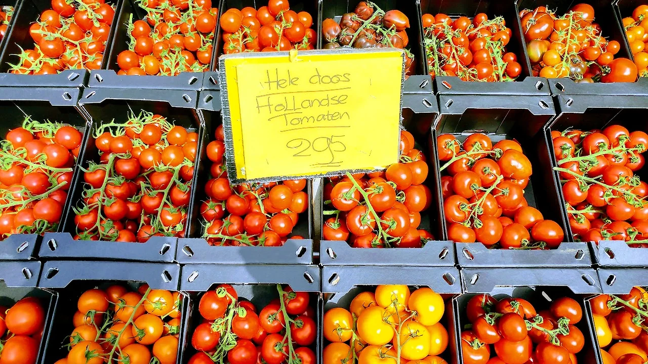 EVIwWm6njad2hSx7BrOrz_yhsnBTny8wXexxMN7FJcu0tLUlLRj_ZJJGA36s6vzxcyoNhLcWnk0B86vTCEcMvTsxgLwbUMLhYAykngCaW827-jZbyqKpMTgd1RRotHv92eRljDOtChmSLui_JvmTRJhX3kc3fBtRku99X_csJPlkKB62AXRtBE0IVOdx94_67jL6L7nDSFxl-MpqihcUt7WLBzm6qLD44tPVP7gmSMGUIyjwbZcA6tE_y2FfEAqm67ajSclM55IHgW7wb3CGBx2mml-2mBoN2UXQ3wmDKMJjbA5ar1sFZGa5a8LkQ8QVFMW-a5_-6RxtO1pi8ICwnszJY_tLXT3AAlCfClLdeQcFDpTHU4UYWQbhQuLesDkNfbIjtsYWMnMRttOmiKFrToI4fc37Wf5FOR93Q78sSncAUWNx01yzBYFq--iyXyKNEc76654VTMbxNrKWd5UtVYlstizth7c0MwXYHSUhWjOLULlHJGyuD5sEqT2arAucwG3X2LWd3lvCeP3WS2Hf3YI76sZ3hp16PW-q0IP-6X21Xa-jwU7aINNuk1_mWOP3xuFpjFVqULLDyl8ImP0c_0_vr2_xgH6bF-FRY_bDgDTXyEhWoVRykw=w1308-h736-no