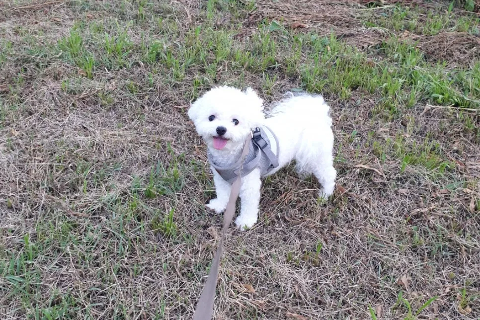 SE-a2ff580f-2513-45c8-959f-d90a971bef49.jpg?type=w966