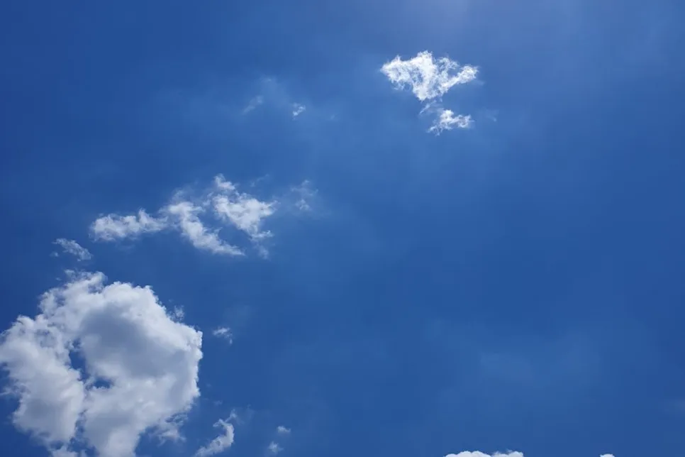 SE-d0be571f-2ceb-4452-902c-fb7138e3e41c.jpg?type=w966