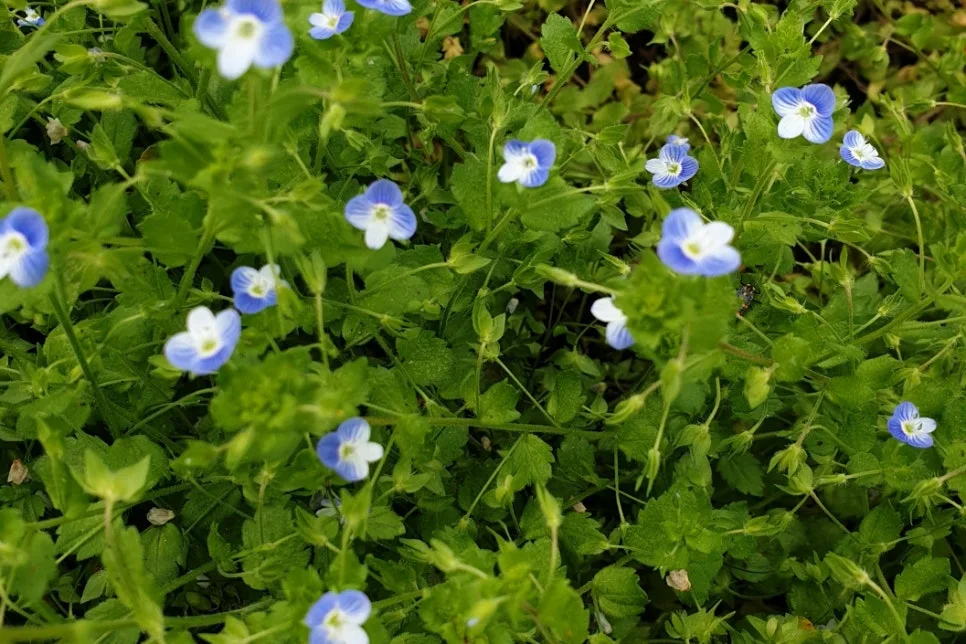 SE-a351b4f3-7288-467e-b672-3597b277deee.jpg?type=w966