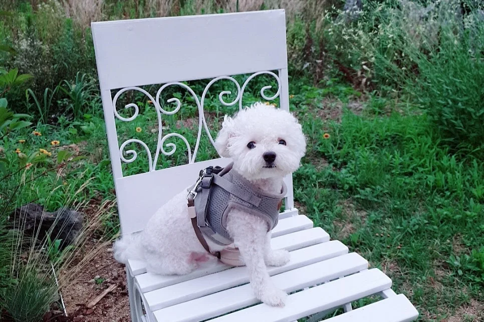 SE-5fe0f7c8-a57b-4a99-9c73-c7e1b924b46f.jpg?type=w966