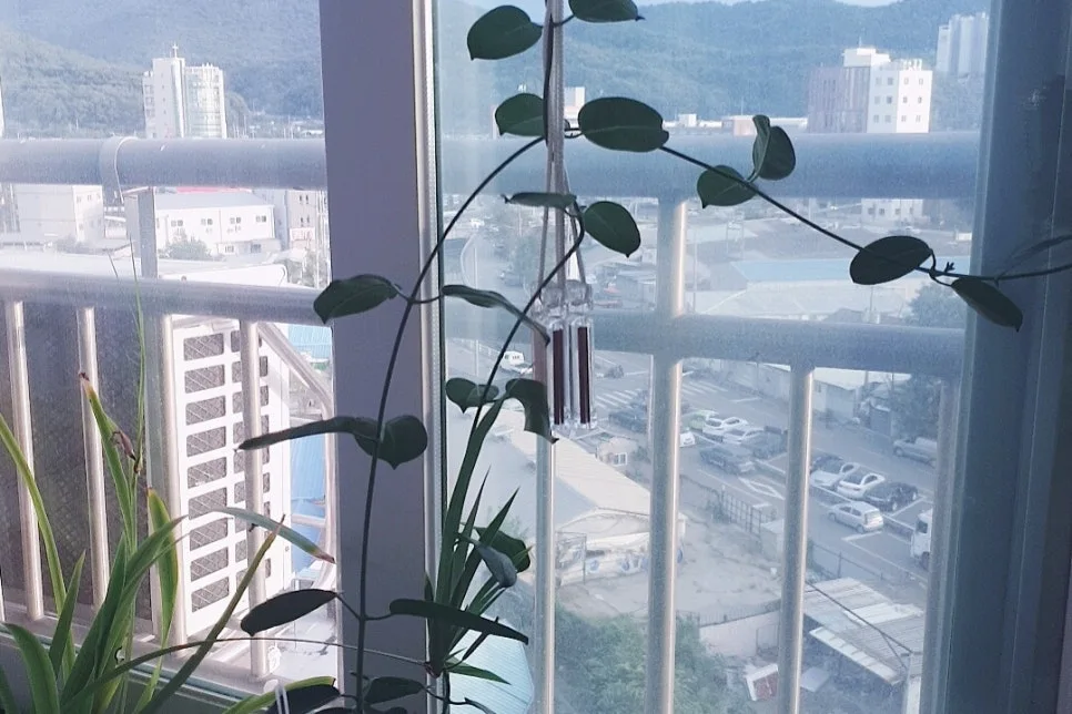 SE-b284c81e-dbbe-4eda-929f-c170524a47ba.jpg?type=w966