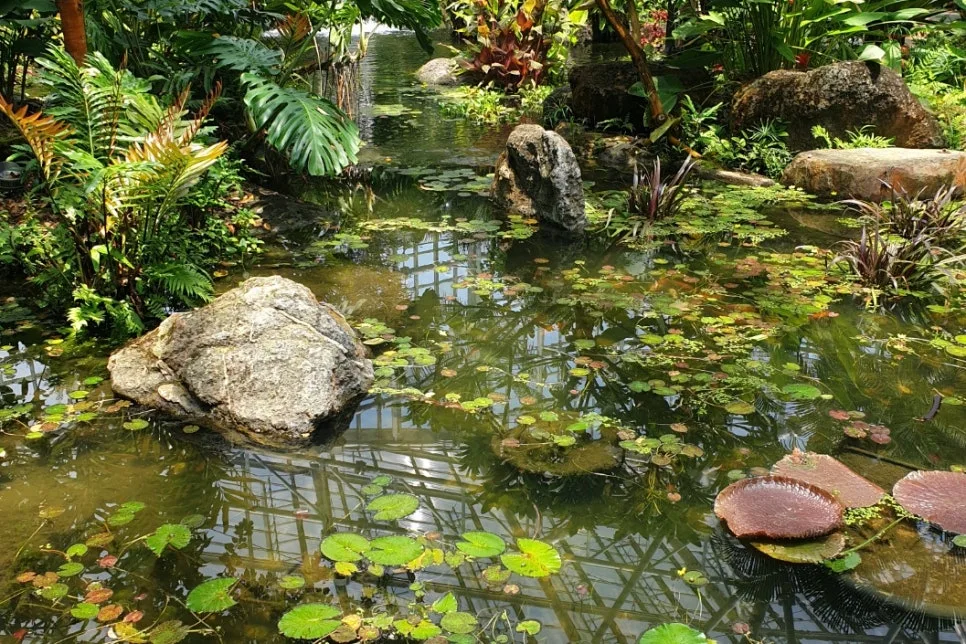 SE-c6a2182b-e536-49d8-85dd-bb4ed44ee7de.jpg?type=w966