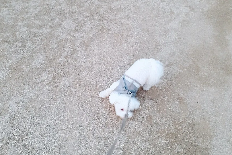 SE-f02ad96b-698a-4159-8559-edac13e11c49.jpg?type=w966