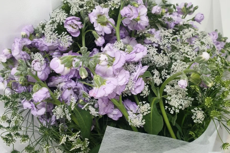 SE-55ace746-8e00-43e4-aa14-7fe2815f038f.jpg?type=w966