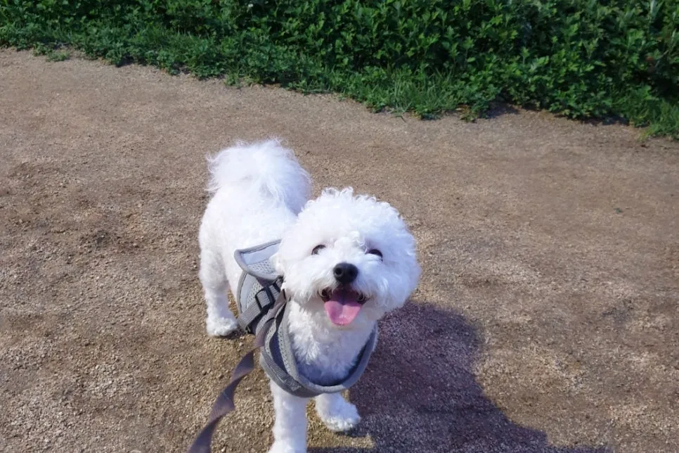 SE-2df24fbd-5dc6-4a96-a7d6-878880036cd7.jpg?type=w966