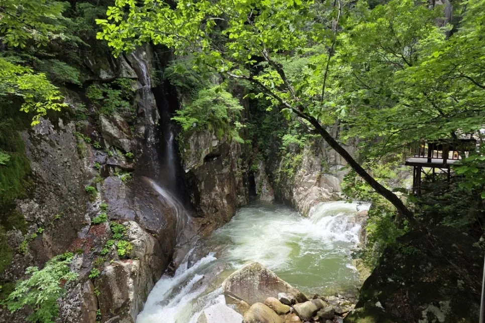 SE-1fc8e077-503b-4f8c-a970-958cdbdde668.jpg?type=w966