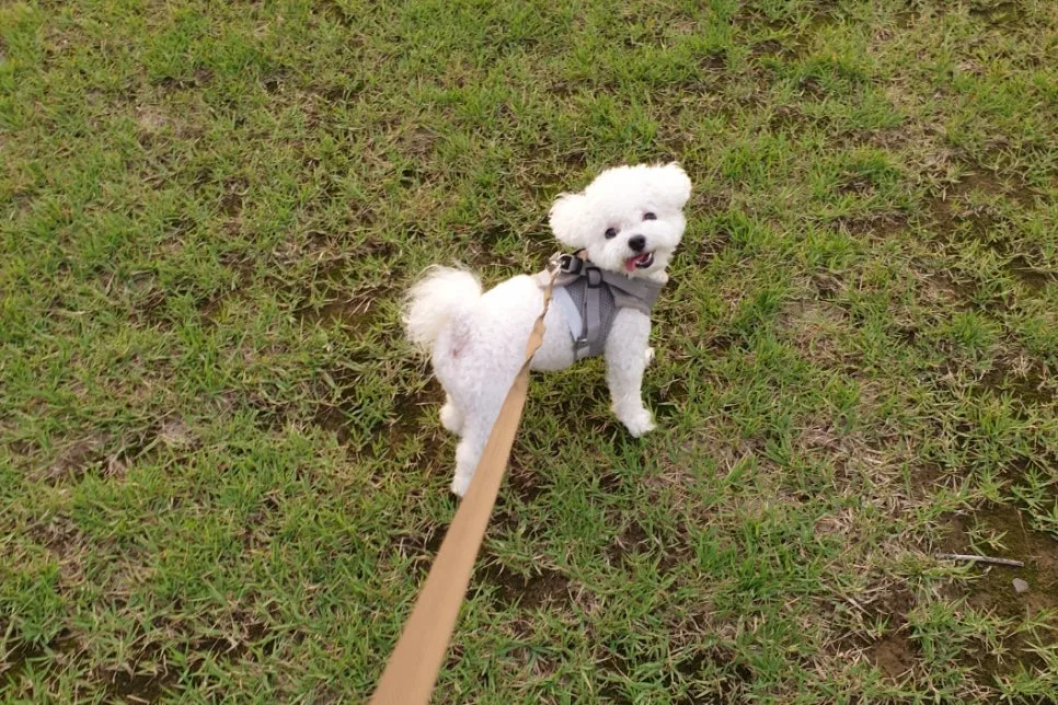 SE-15bde5aa-cce8-4cdf-833d-11191ffa83b8.jpg?type=w966