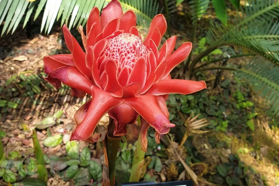 SE-449bfbe8-6b13-486e-9cde-d2111dc5a8a5.jpg?type=w966