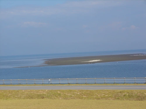 205934214CB2CDA431.jpg?type=w773