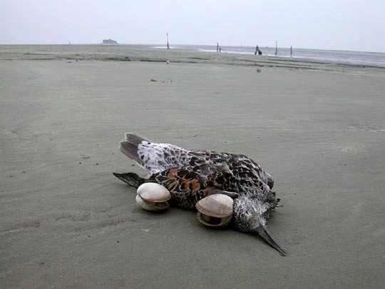 %EC%83%88%EB%A7%8C%EA%B8%8813_1130DB214CB3E76B11.jpg?type=w773