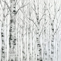 14083500_11.jpg?type=w773