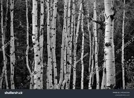 %EB%8B%A4%EC%9A%B4%EB%A1%9C%EB%93%9C.jpg?type=w773