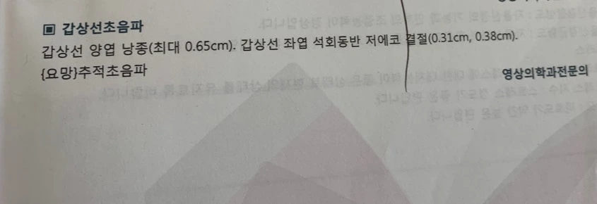KakaoTalk_20210209_130825311.jpg?type=w966