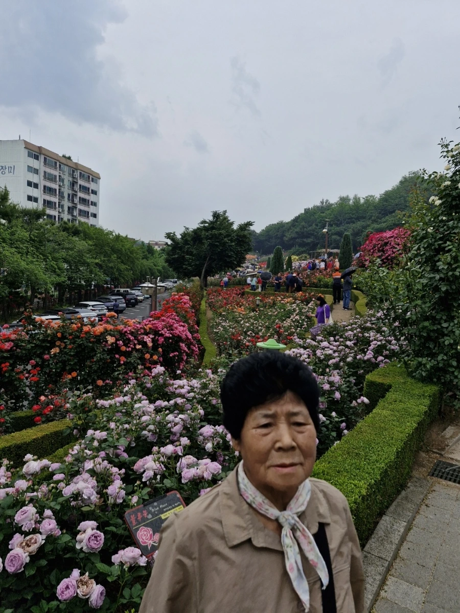 900%EF%BC%BF1761129019349.jpg?type=w1